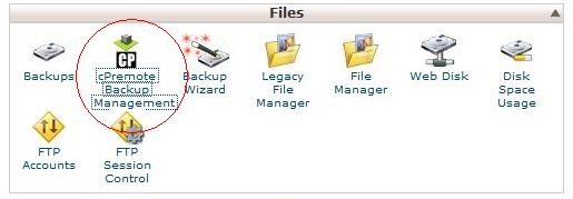 Restore Backup Via cPanel